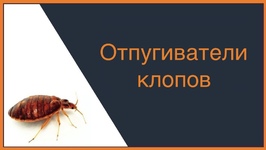 Отпугиватель клопов: принцип действия и особенности