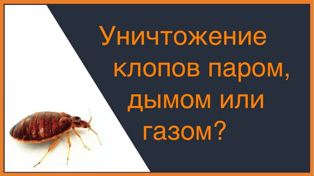 Уничтожение клопов паром, газом или дымом в Таганроге