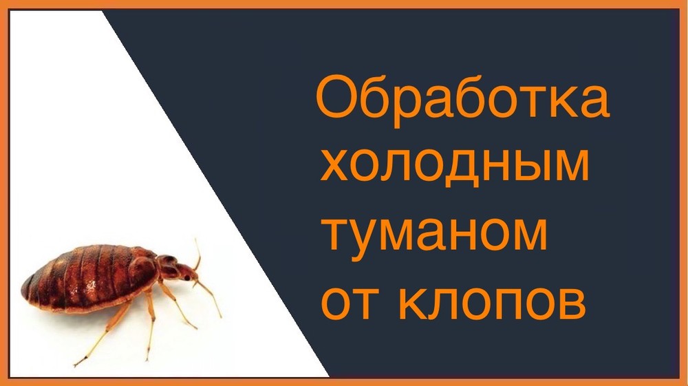 Обработка холодным и горячим туманом от клопов в Таганроге