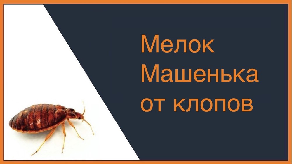 мелок Машенька от клопов